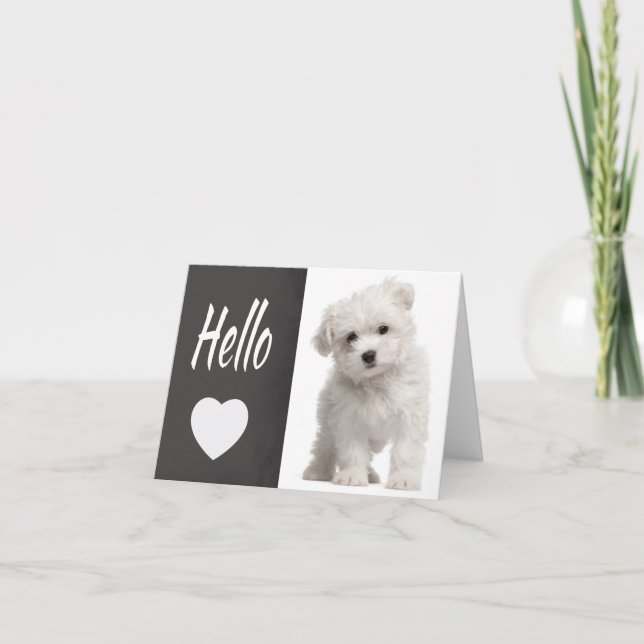 Hello White Maltese Puppy Dog Chalkboard Note Card (Front)