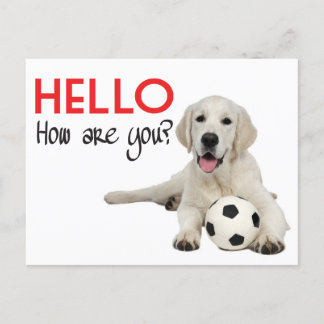 Hello Yellow Labrador Retriever Post Card