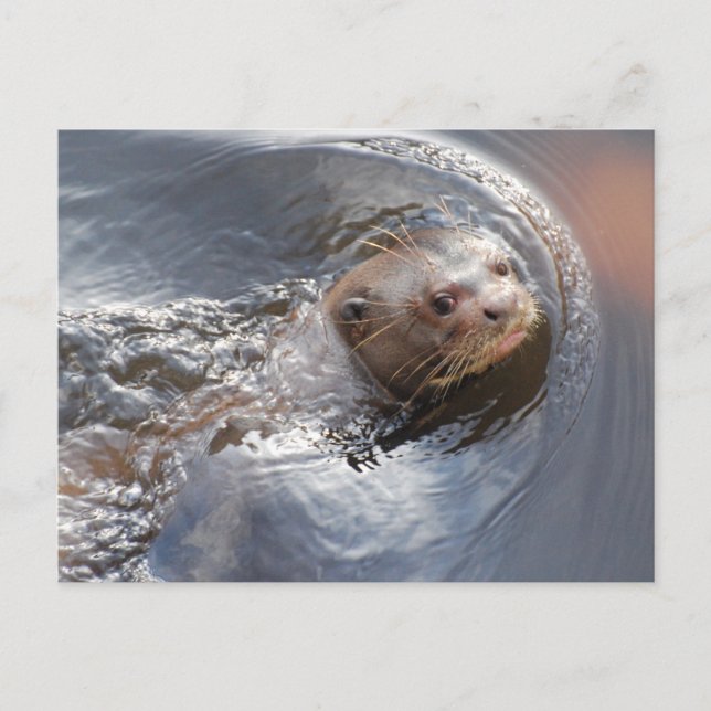 Hello you postcard (Front)