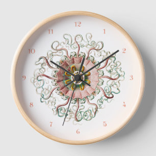 Helmet jellyfish and coral numerals Wall Clock