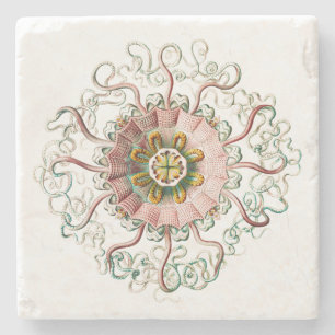 Helmet jellyfish stone coaster