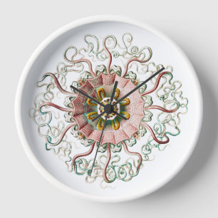 Helmet jellyfish vintage drawing Wall Clock