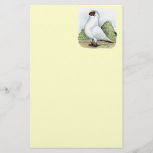 Helmet:  Red Pigeon Stationery
