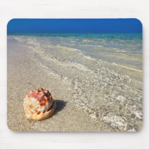 Helmet Shell In Tropical Lagoon Cassis Rufa Mouse Pad