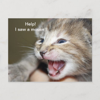 "Help i saw a mouse!" Postcard