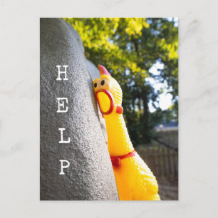 Help Rubber Chicken Postcard