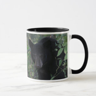 Help Save a Bear Leave it Alone Mug