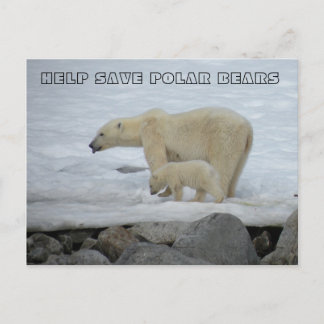 HELP SAVE POLAR BEARS POSTCARD
