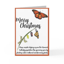 Help Save the Monarch butterfly