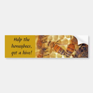 Help the honeybees, get a hive! bumper sticker