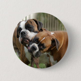 Helping with the Tack 6 Cm Round Badge