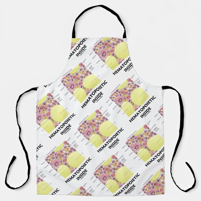 Hematopoietic Inside Blood Cell Formation Apron (Front)
