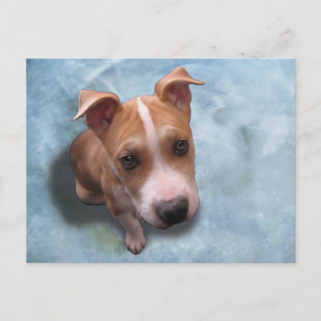 Hemi the Pit Bull Puppy Postcard (Front)