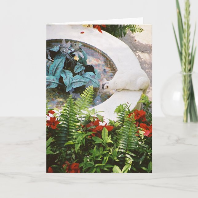 Hemingway Cat 1- Greeting & Note Cards (Front)