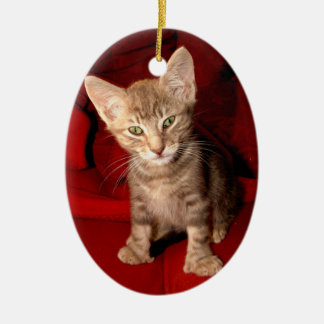 Hemingway Cat Ceramic Tree Decoration