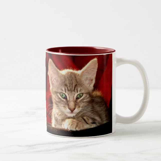 Hemingway Kitten Two-Tone Coffee Mug (Right)