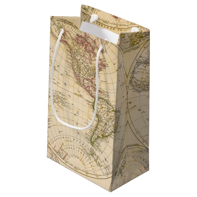 Hemispheres Small Gift Bag (Back Angled)
