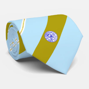 Hempstead (New York) city flag Neck Tie