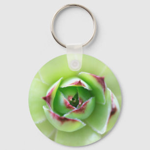 Hen and Chicks Beautiful Succulent Flower Plant Key Ring
