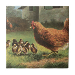 Hen and Chicks Ceramic Tile