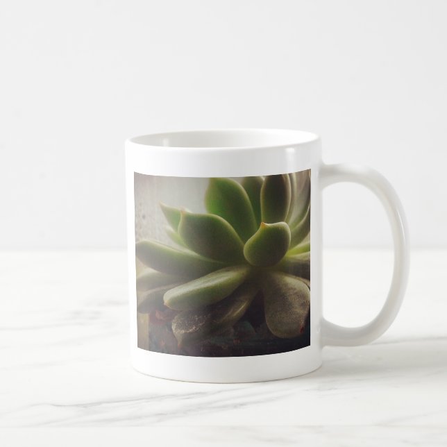 Hen and Chicks plant Coffee Mug (Right)
