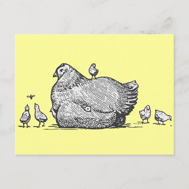 Hen and Chicks Postcard (Front)