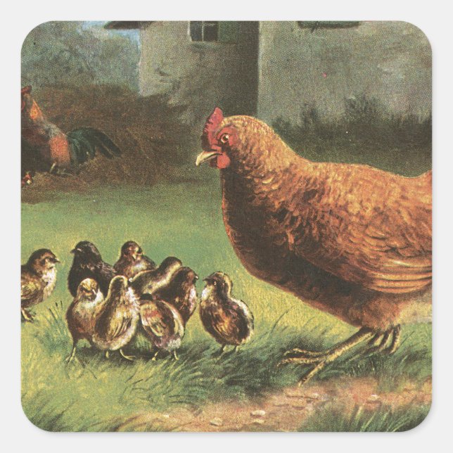 Hen and Chicks Square Sticker (Front)