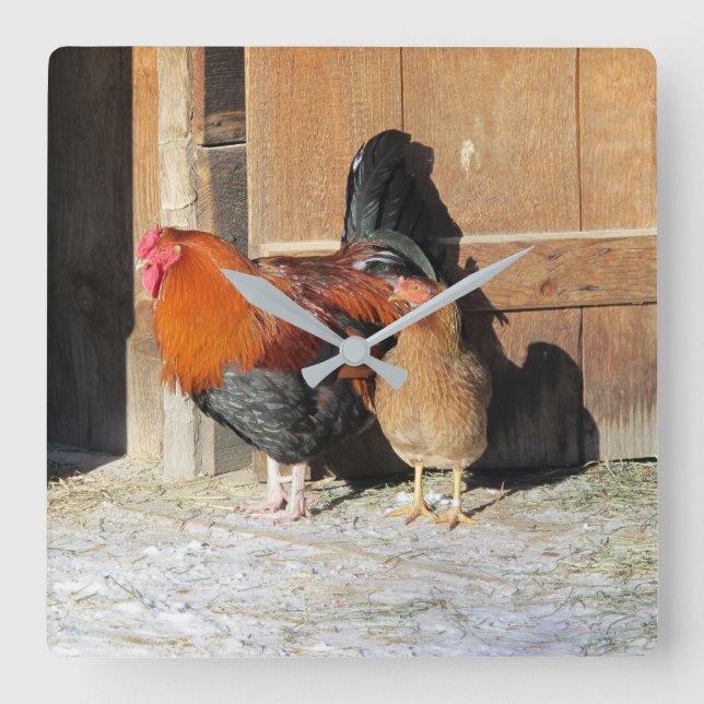 Hen and Rooster Rustic Chicken Kitchen Clock (Front)