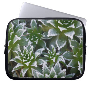 Hen & Chicks succulent with frost in the early Laptop Sleeve