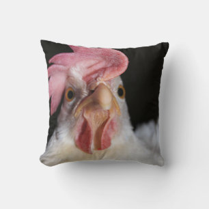 Hen Cushion
