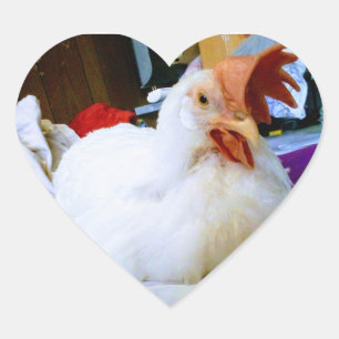 Hen Heart Sticker