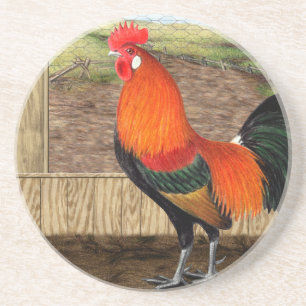 Hen House Hero Coaster