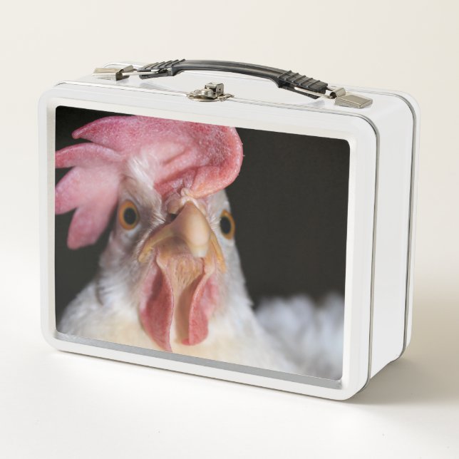Hen Metal Lunch Box (Front)