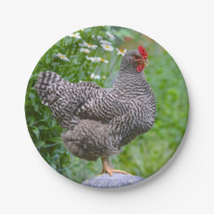 Hen Paper Plate