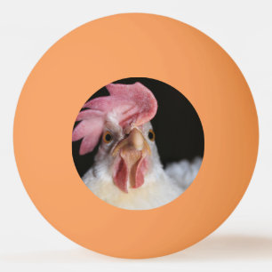 Hen Ping Pong Ball