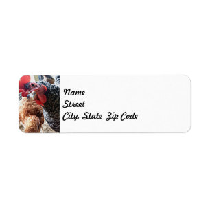 Hen with Attitude - Return Address Labels