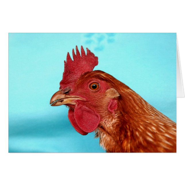 Henny Penny (Front Horizontal)