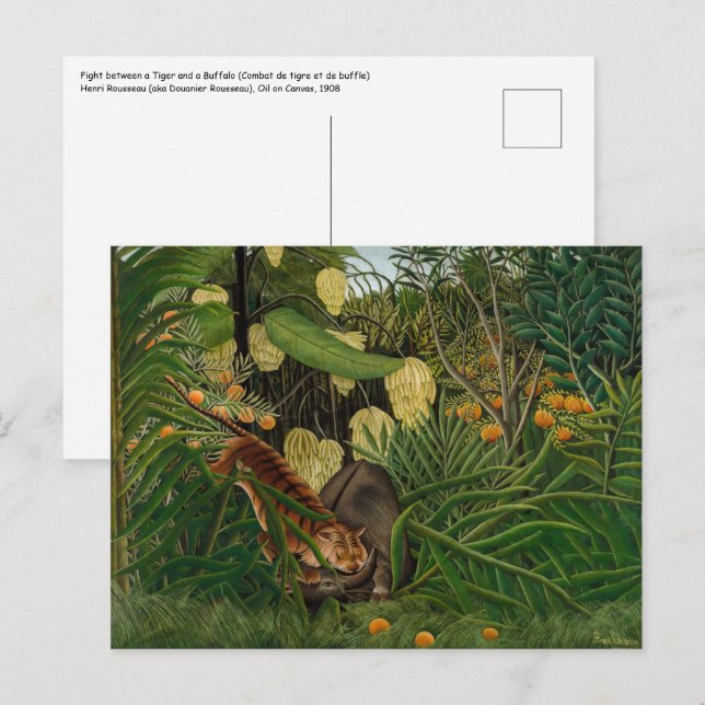 Henri Rousseau - Fight between Tiger and Buffalo Postcard (Front/Back)