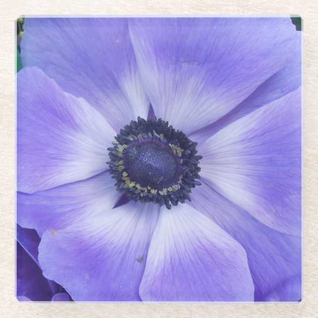 Henrietta Glass Coaster (Front)