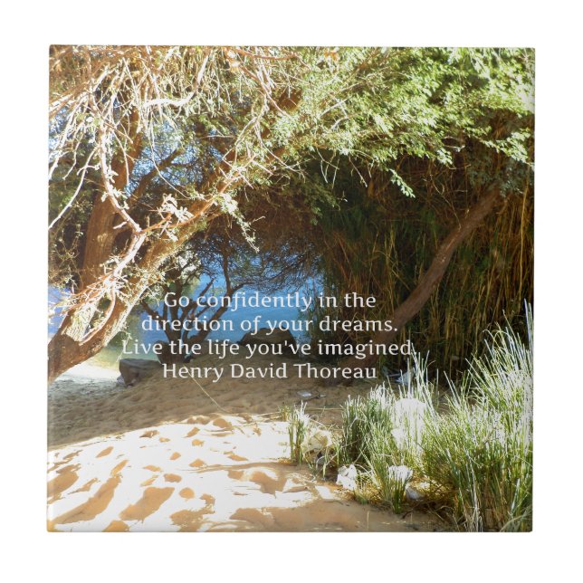 Henry David Thoreau Motivational Dream Quotation Tile (Front)