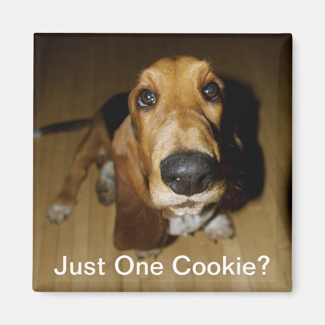 Henry Longfellow Magnet (Front)