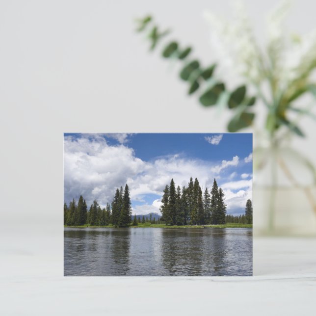 Henrys Fork in Targhee National Forest I Postcard (Standing Front)