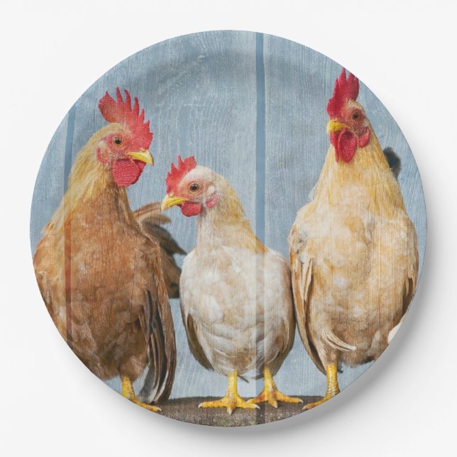 Hens and Chickens Paper Plate (Front)