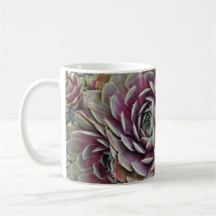 Hens and chicks cactus plant coffee mug