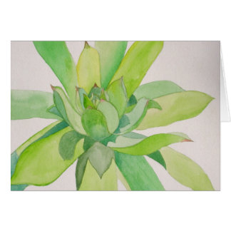 "Hens and Chicks" Card