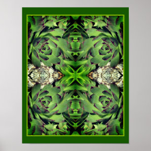 Hens And Chicks Garden Succulent Mirror Abstract Poster