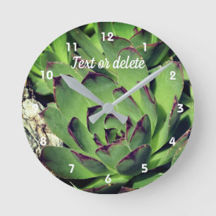 Hens And Chicks Garden Succulents Personalised Round Clock