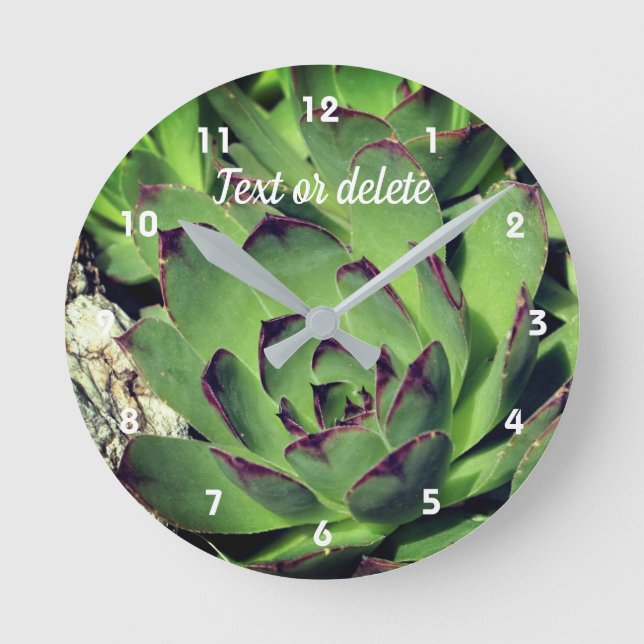Hens And Chicks Garden Succulents Personalized Round Clock (Front)