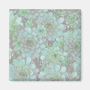 Hens And Chicks Magnet