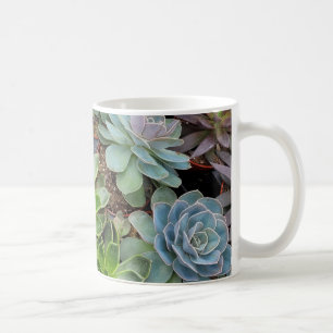 Hens and chicks plants  coffee mug